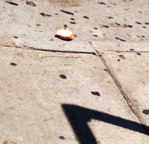 The sandwich that was tossed in the road.